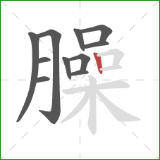 臊的笔顺第11画:竖 臊的笔顺第11画:竖