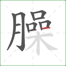 臊的笔顺第13画:横 臊的笔顺第13画:横