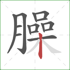 臊的笔顺第15画:竖 臊的笔顺第15画:竖