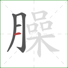 臊的笔顺第4画:横 臊的笔顺第4画:横