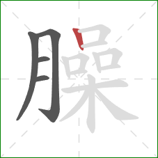 臊的笔顺第5画:竖 臊的笔顺第5画:竖