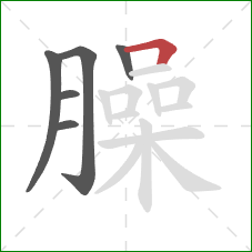 臊的笔顺第6画:横折 臊的笔顺第6画:横折