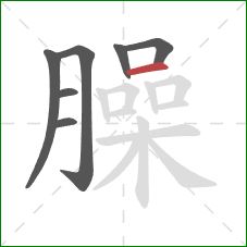 臊的笔顺第7画:横 臊的笔顺第7画:横