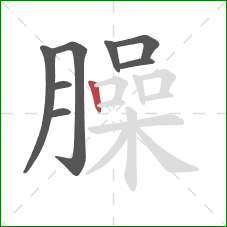 臊的笔顺第8画:竖 臊的笔顺第8画:竖