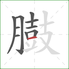 臌的笔顺第10画：横