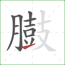 臌的笔顺第13画：提