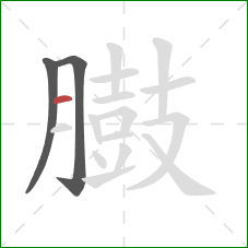 臌的笔顺第3画：横