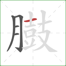 臌的笔顺第5画：横