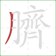 臍的笔顺第1画：撇