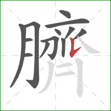 臍的笔顺第13画：竖提