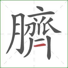 臍的笔顺第18画：横