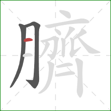 臍的笔顺第3画：横