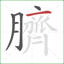 臍的笔顺第6画：横