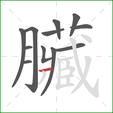 臟的笔顺第12画：撇