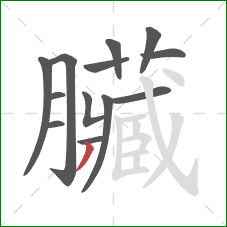 臟的笔顺第13画：横