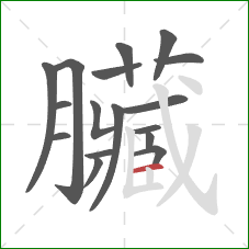 臟的笔顺第17画：竖