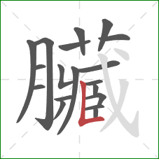 臟的笔顺第19画：斜钩