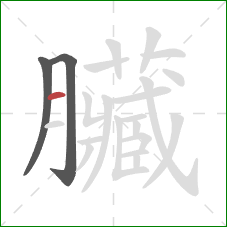 臟的笔顺第3画：横