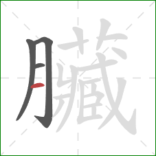 臟的笔顺第4画：横