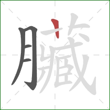 臟的笔顺第5画：横