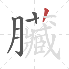 臟的笔顺第7画：竖