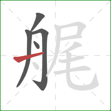 艉的笔顺第5画：横