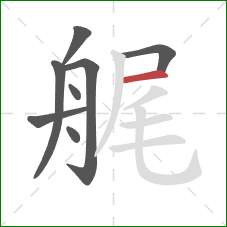 艉的笔顺第8画：横