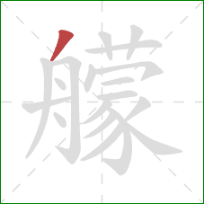 艨的笔顺第1画：撇