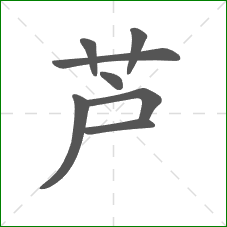 芦的笔顺