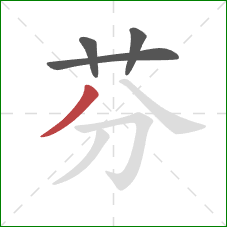 芬的笔顺第4画：撇