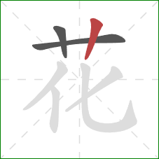 花的笔顺第3画：竖