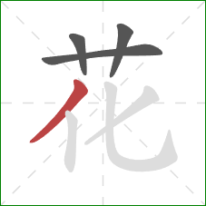 花的笔顺第4画：撇