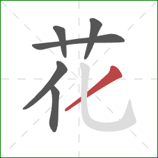 花的笔顺第6画：撇