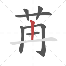 苒的笔顺第7画：竖