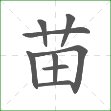 苗的笔顺