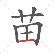 苗的笔顺第8画：横