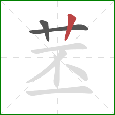 苤的笔顺第3画：竖