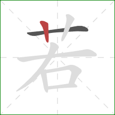 若的笔顺第2画：竖