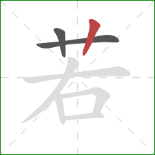 若的笔顺第3画：竖