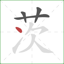 茨的笔顺第4画：点