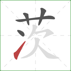 茨的笔顺第5画：提