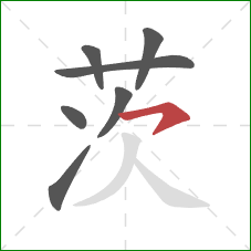 茨的笔顺第7画：横撇