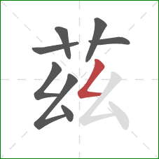 茲的笔顺第8画：撇折