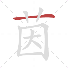 茵的笔顺第1画：横