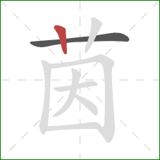 茵的笔顺第2画：竖