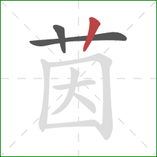茵的笔顺第3画：竖