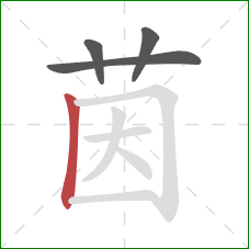 茵的笔顺第4画：竖