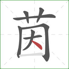 茵的笔顺第8画：点