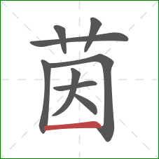 茵的笔顺第9画：横