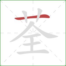 荃的笔顺第1画：横